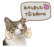 833453292