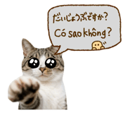 833453298