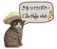 833453307