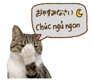 833453309