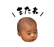 833454402