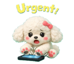 833454436