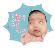 833458612