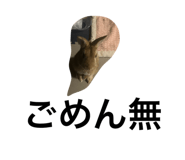 833459419