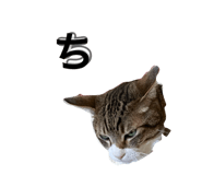 833459440