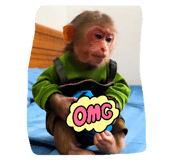 833459976