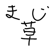 833465381