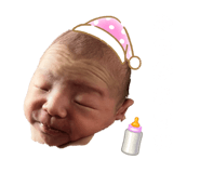 833466442