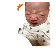 833466443