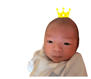 833466456