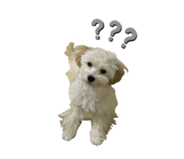 833466782