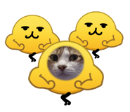 833500251