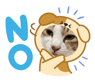 833500252