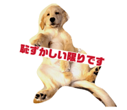 833501409
