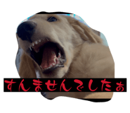 833501411
