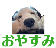 833501412
