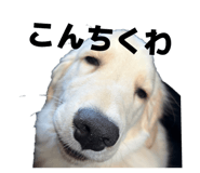 833501415