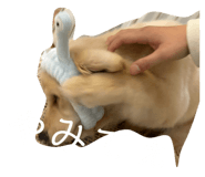 833501416