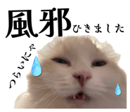 833530579