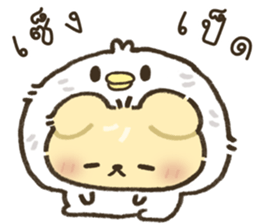 ลายที่ 71