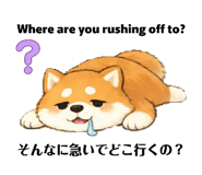 833537400