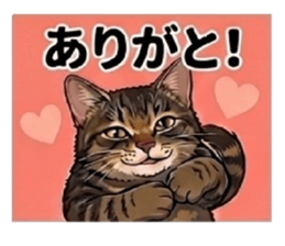 833538207