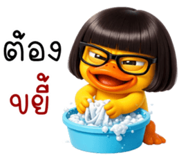 ลายที่ 43