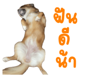 833539748