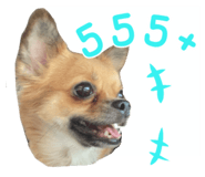 833539752