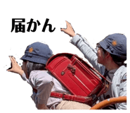 833539954