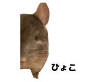 833540154