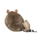 833540155