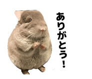 833540156