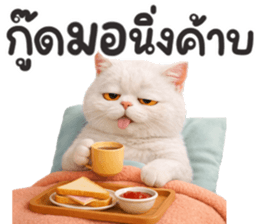 ลายที่ 1