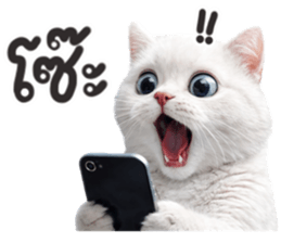 ลายที่ 3