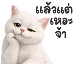 ลายที่ 5