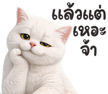 ลายที่ 3