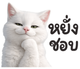 ลายที่ 11