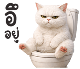 ลายที่ 13