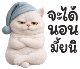 ลายที่ 15