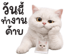 ลายที่ 17