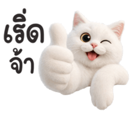 ลายที่ 19