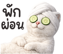 ลายที่ 21