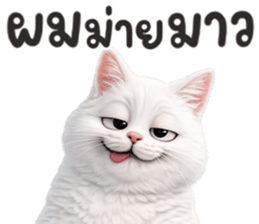 ลายที่ 25