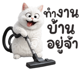 ลายที่ 27