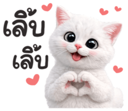 ลายที่ 31