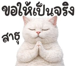 ลายที่ 35