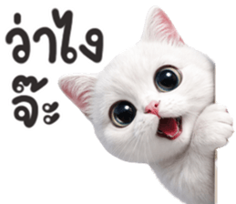 ลายที่ 39