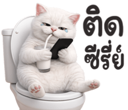 ลายที่ 43