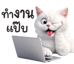 ลายที่ 45